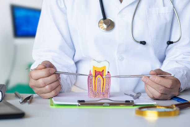 Best Emergency Cosmetic Dentistry in Cleveland, NC